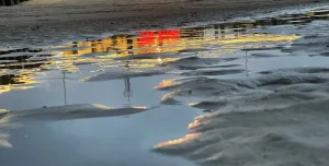 建站 1000 天随想：我与这个网站的碎碎念